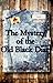 The Mystery of the Old Black Diary (Sister Detective Series)