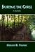 Skirting the Gorge — A Novel by Gerald R. Stanek