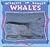 Whales (Wildlife in Danger)