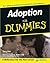 Adoption for Dummies