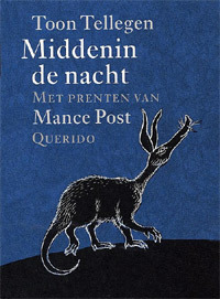 Middenin de nacht (Hardcover)