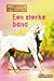 Een sterke band (Heartland: Paardenranch, #15)