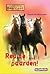 Red de Paarden (Heartland: Paardenranch, #13)