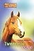 Tweestrijd (Heartland: Paardenranch, #5)