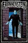 Universal Monsters: Frankenstein (Paperback)