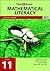 Study and Master Mathematical Literacy Grade 11 Learner's Book