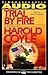 Trial by Fire (Scott Dixon, #3)