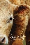 The Drifts by Thom Vernon