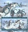 A Pod of Orcas: A Seaside Counting Book A Pod of Orcas: A Seaside Counting Book