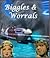Biggles & Worrals: Joint Mi...