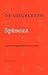 De uitgelezen Spinoza