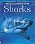 Sharks (Discovery Program)