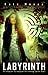 Labyrinth: Perempuan-Peremp...