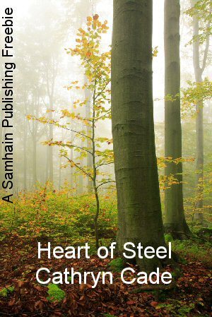 Heart of Steel SAMPLE (ebook)