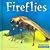 Fireflies (WORLD OF INSECTS)