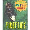 Wild Wild World - Fireflies (Hardcover)