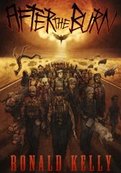 After the Burn (Hardcover)