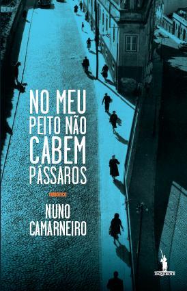 No Meu Peito Não Cabem Pássaros (Paperback)
