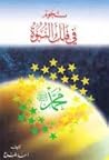 نجوم في فلك النبوة