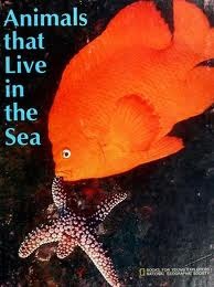 Animals that live in the sea (Books for young explorers)