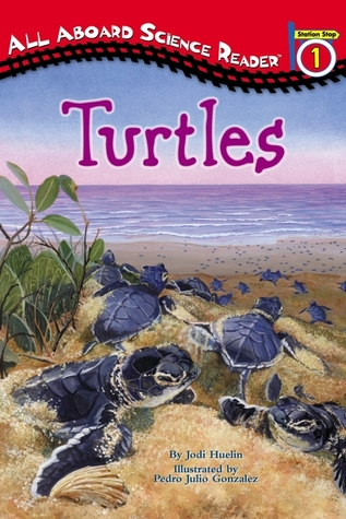 Turtles (All Aboard Science Reader: Station Stop 1)