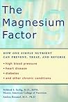 The Magnesium Factor by Mildred Seelig