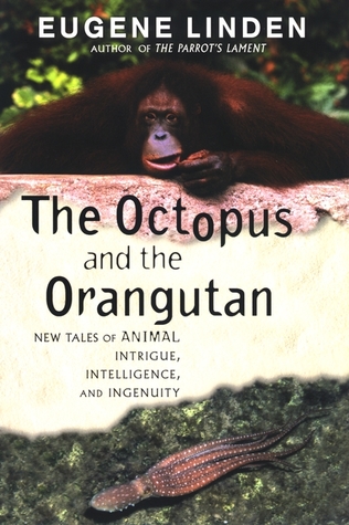 The Octopus and the Orangutan: New Tales of Animal Intrigue, Intelligence, and Ingenuity (Paperback)