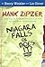 Niagara Falls, Or Does It? (Hank Zipzer #1)