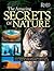 Amazing Secrets of Nature