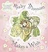 Baby Blossom Makes a Wish (Flower Fairies)