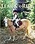 Learn to Ride