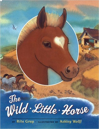 The Wild Little Horse (Hardcover)
