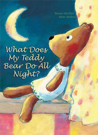 What Does My Teddy Bear Do All Night? (Hardcover)