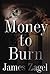 Money to Burn by James B. Zagel