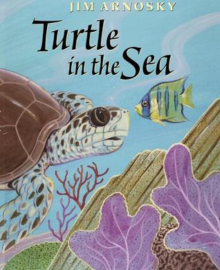 Turtle in the Sea (Hardcover)