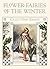 Flower Fairies of the Winter by Cicely Mary Barker