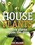 House Plants