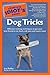 The Complete Idiot's Guide to Dog Tricks by Liz Palika