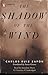 The Shadow of the Wind