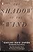 The Shadow of the Wind by Carlos Ruiz Zafón