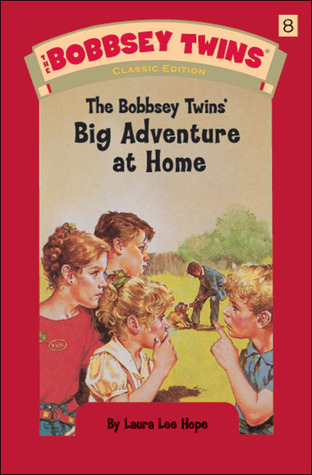 The Bobbsey Twins' Big Adventure at Home (The Bobbsey Twins, #8)