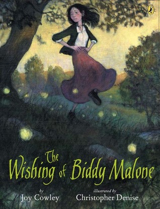 The Wishing of Biddy Malone (Paperback)