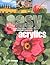 Easy Acrylics: A Step-by-St...