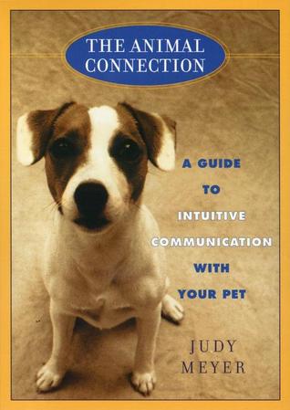 Animal Connection, The: A Guide to Intuitive Communicationwith Your Pe (Paperback)