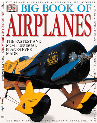 Big Book of Airplanes (Hardcover)