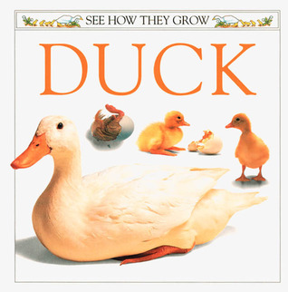 Duck (See How They Grow)