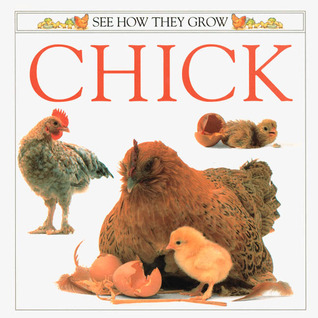 Chick: See How They Grow (Paperback)