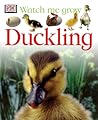 Duckling (Watch Me Grow)