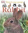 Rabbit (DK Watch Me Grow)