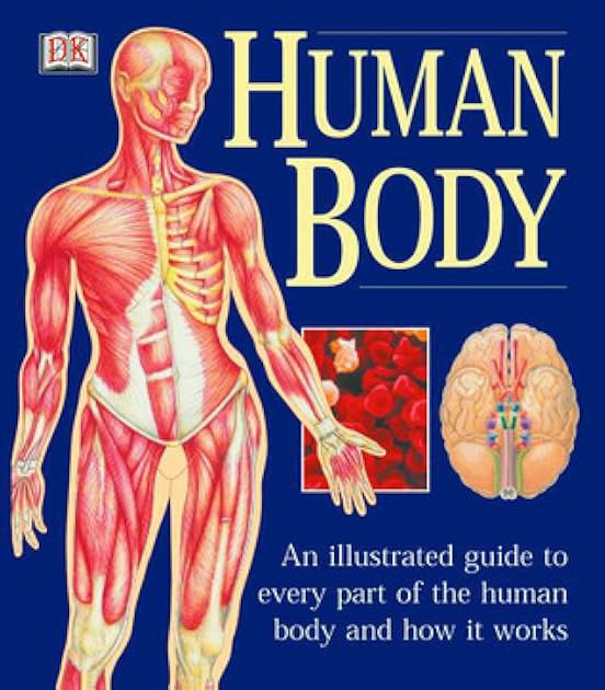 Human Body: An Illustrated Guide to Every Part of the Human Body and How It Works